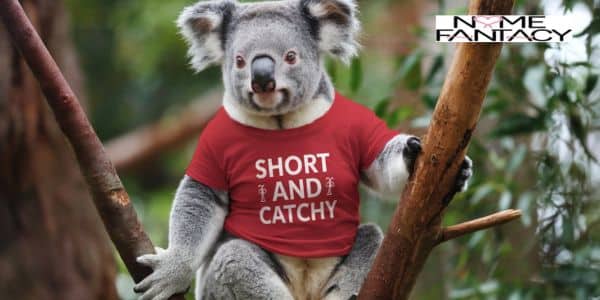 Short and Catchy Koala