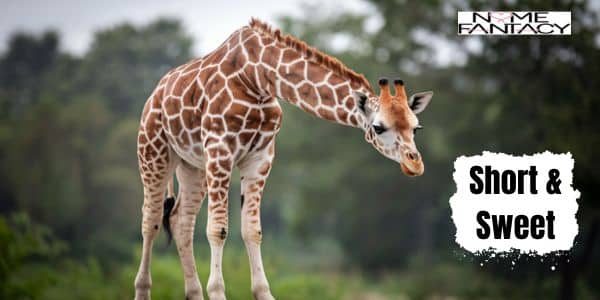 Giraffe Names