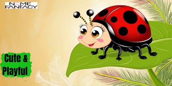 Ladybug Names