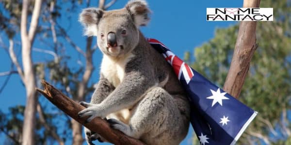 Australian-Inspired Koala