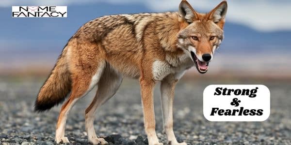 Unique Coyote Names