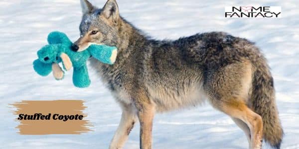 Unique Coyote Names