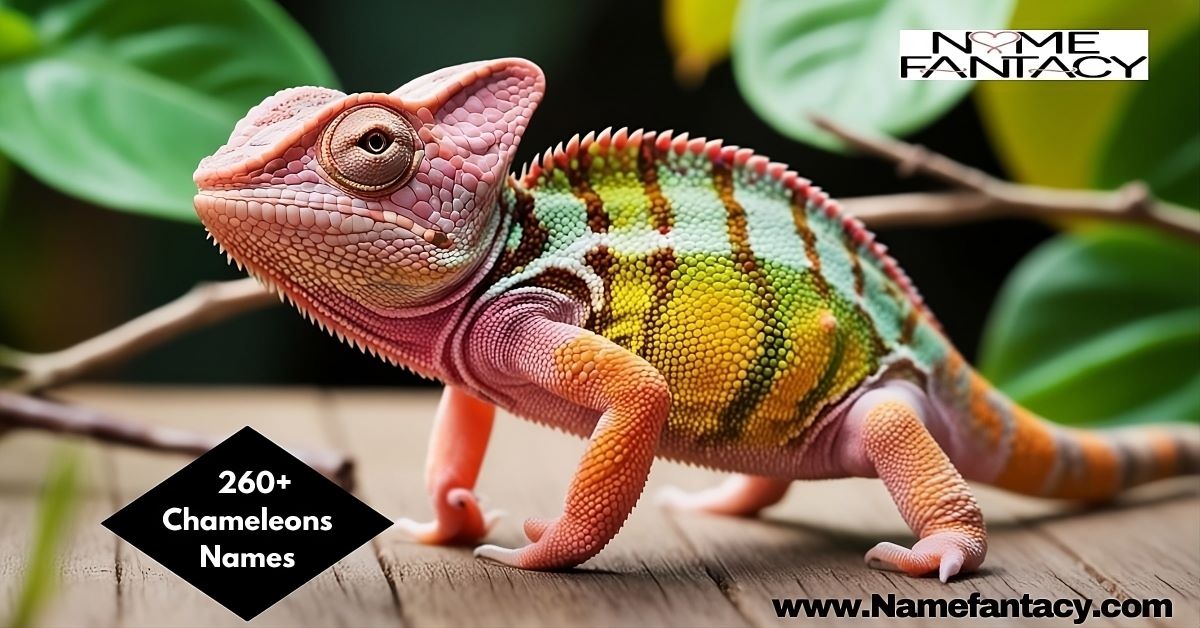 Chameleon Names