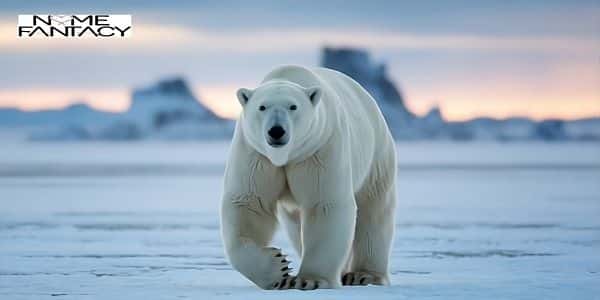 Polar Bear Names