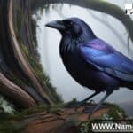 Raven Names